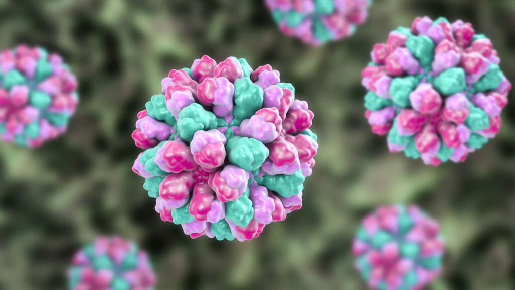Norovirus cases rebound to prepandemic levels