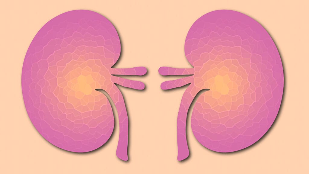 Care coordination yields better outcomes for patients with kidney disease, study finds